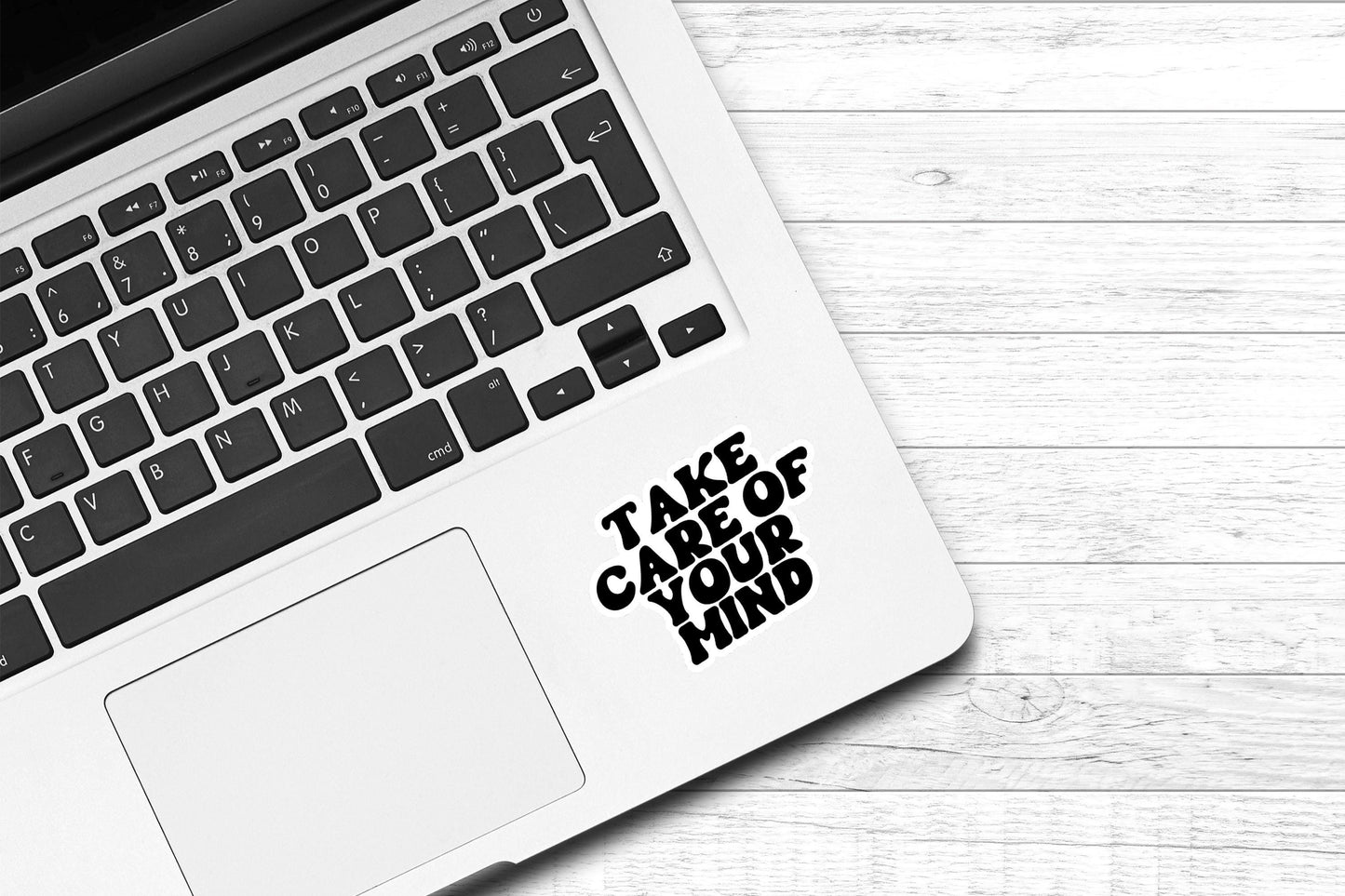Take Care of Your Mind Vinyl Sticker | Mental Health Awareness | Laptop Sticker | Water Bottle Sticker | Phone Case Sticker | Self Love |